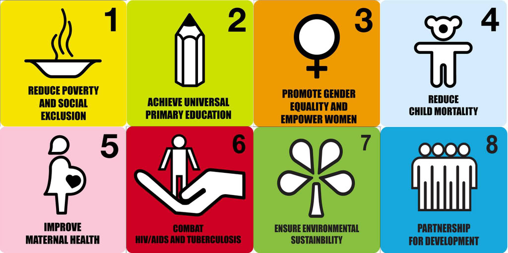 Millennium Development Goals Progress Chart 2015