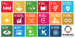 The Sustainable Development Goals 