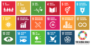 The Sustainable Development Goals