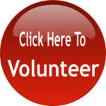 volunteer now